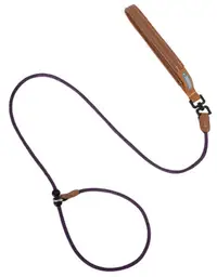 Bobo Series - Leather Handle Integrated P-Leash view 5