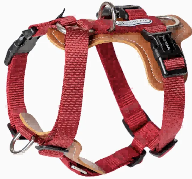 Bobo Series - H-Harness