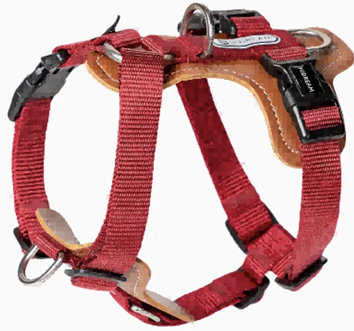 Bobo Series - H-Harness view 1