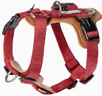 Bobo Series - H-Harness view 1