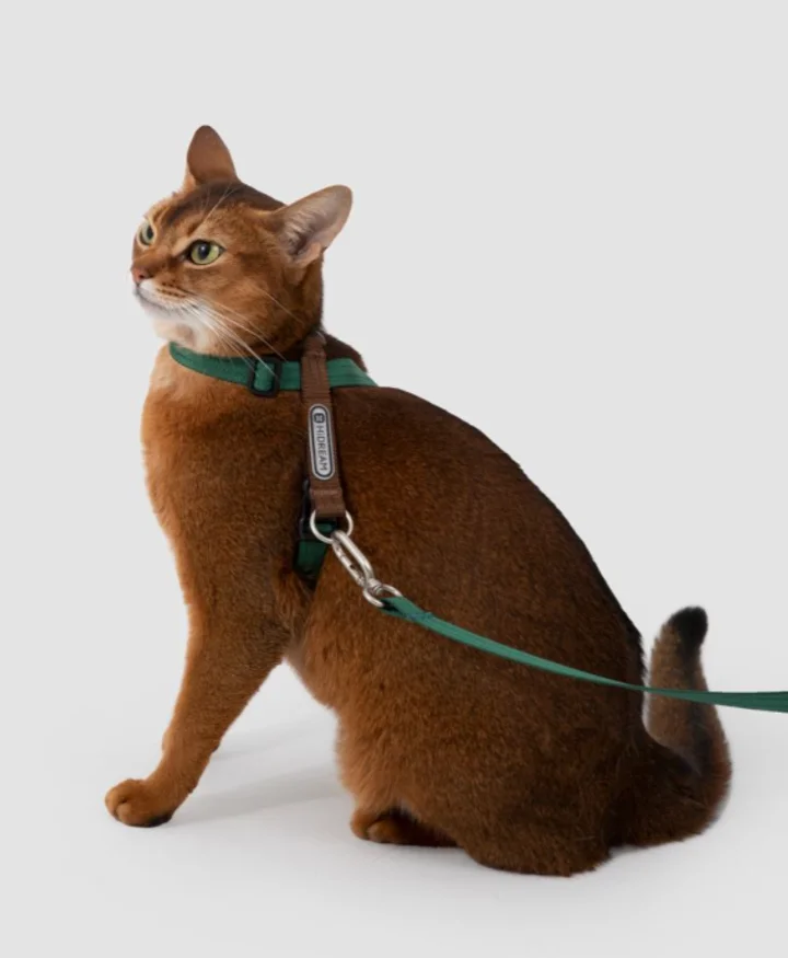 Figure-8 Half-Harness Cat Harness + Crossbody Waist Leash view 8