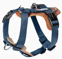 Bobo Series - H-Harness view 3