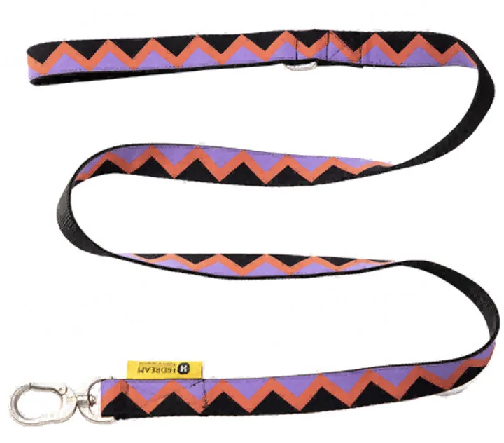 Rainbow Series - Leash view 2