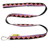 Rainbow Series - Leash view 2
