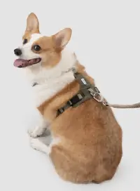 Pressure-Relief Sport Dog Harness view 2