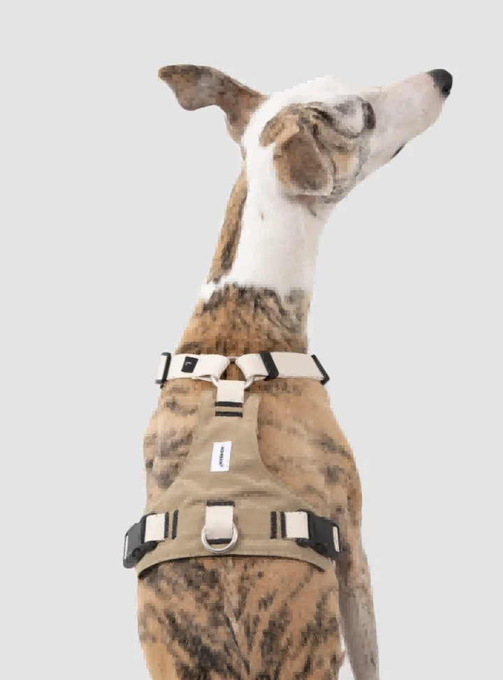 Pressure-Relief Sport Dog Harness view 4