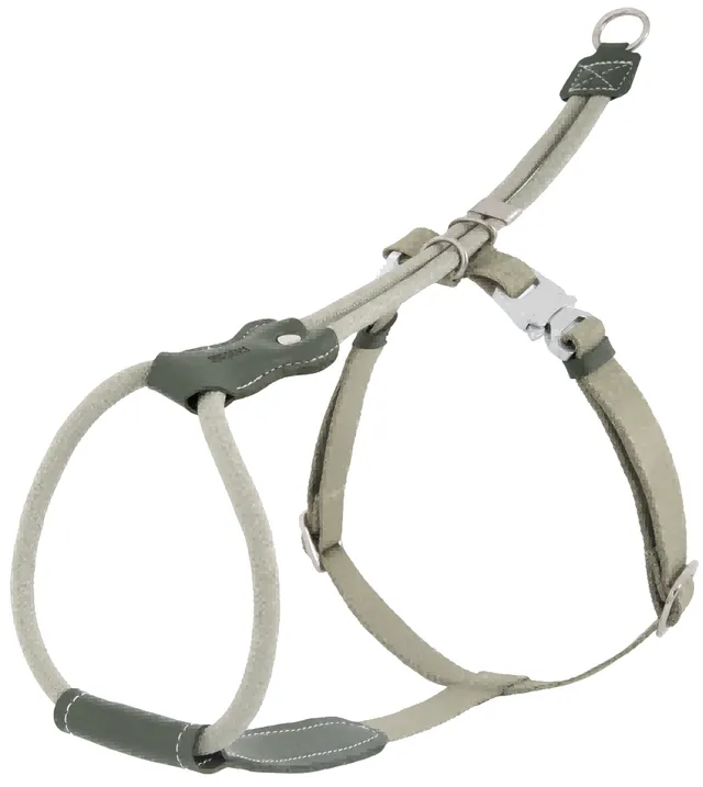 Leather Round Rope Dog Harness + Leash