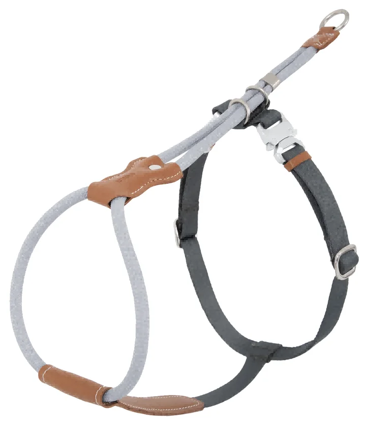 Leather Round Rope Dog Harness + Leash view 4