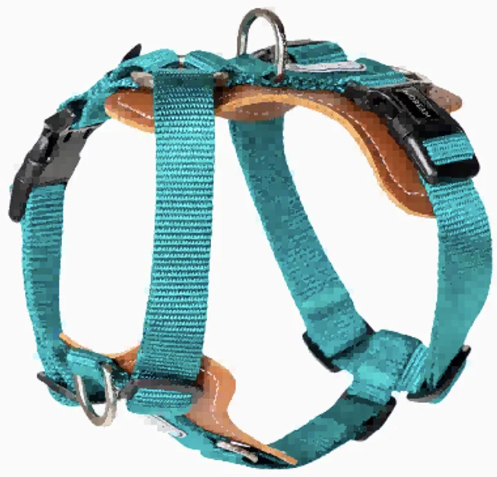 Bobo Series - H-Harness view 2