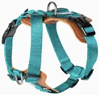 Bobo Series - H-Harness view 2