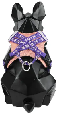 Bobo Series - Hug Pet Harness view 2