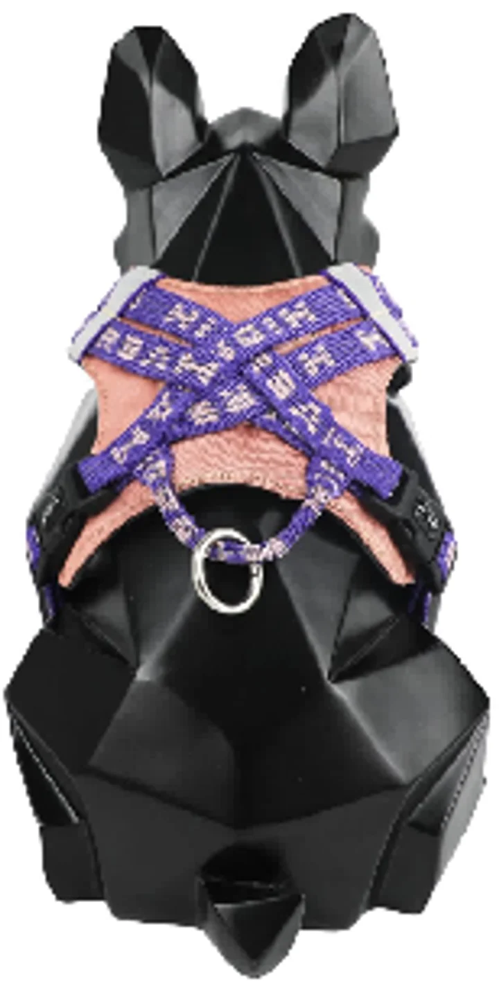 Bobo Series - Hug Pet Harness view 2