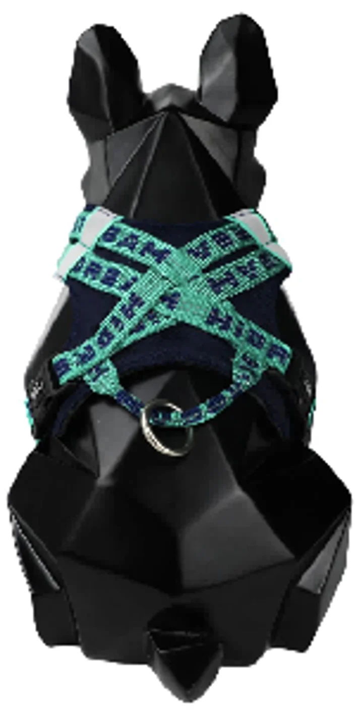 Bobo Series - Hug Pet Harness view 3