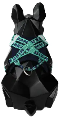 Bobo Series - Hug Pet Harness view 3