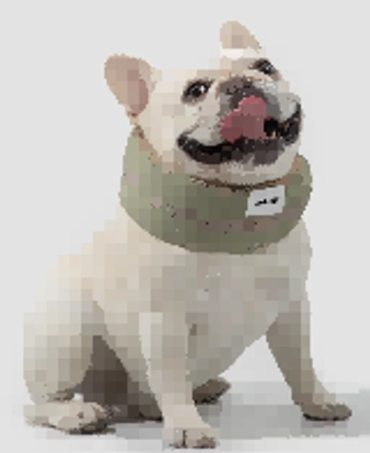 Pet Cooling Bandana view 4