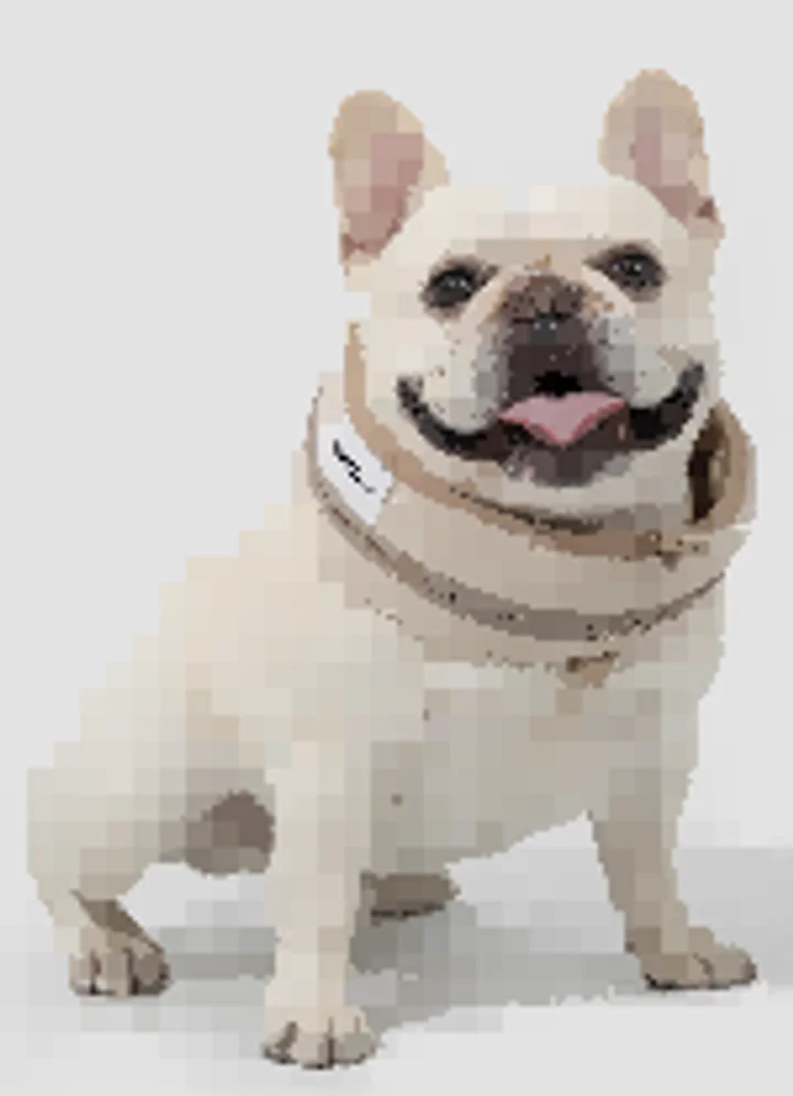 Pet Cooling Bandana view 2