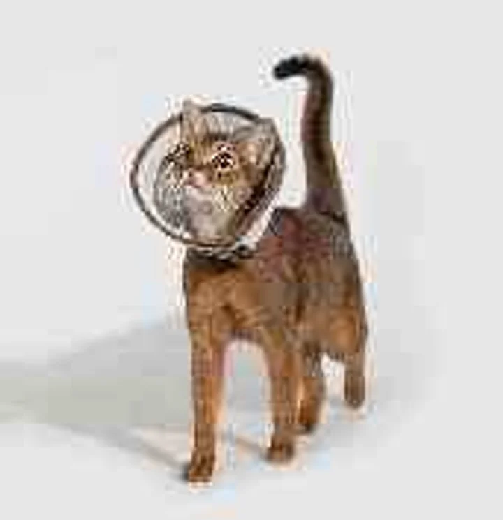 Mesh Recovery Collar Head Cover view 2