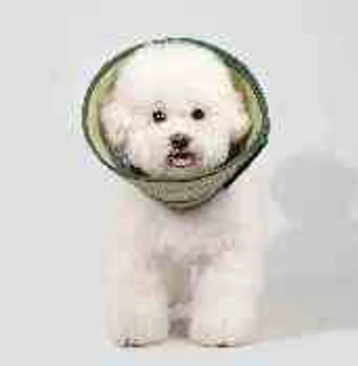 Mesh Recovery Collar Head Cover view 4