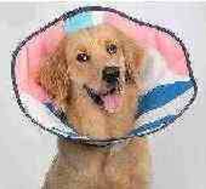 Soft Cone Recovery Collar view 2