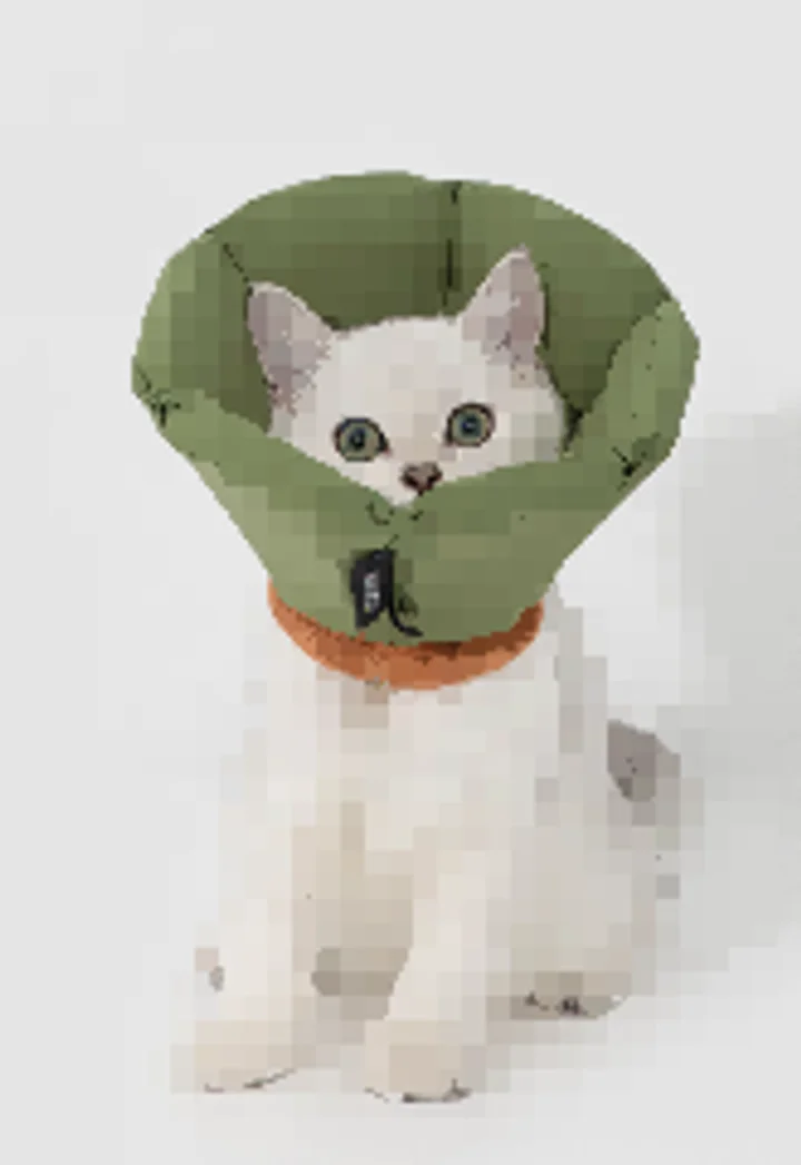 Foam Cone Recovery Collar Head Cover view 3