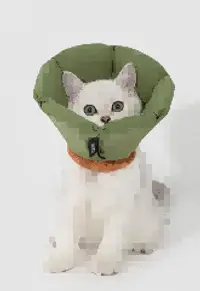 Foam Cone Recovery Collar Head Cover view 3