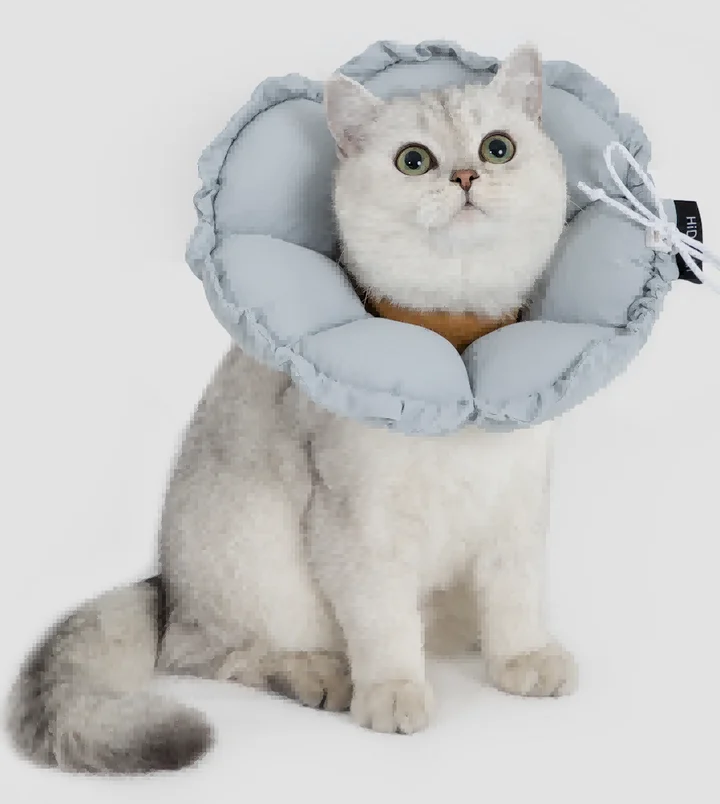 Flower Recovery Collar (Upgraded) view 4
