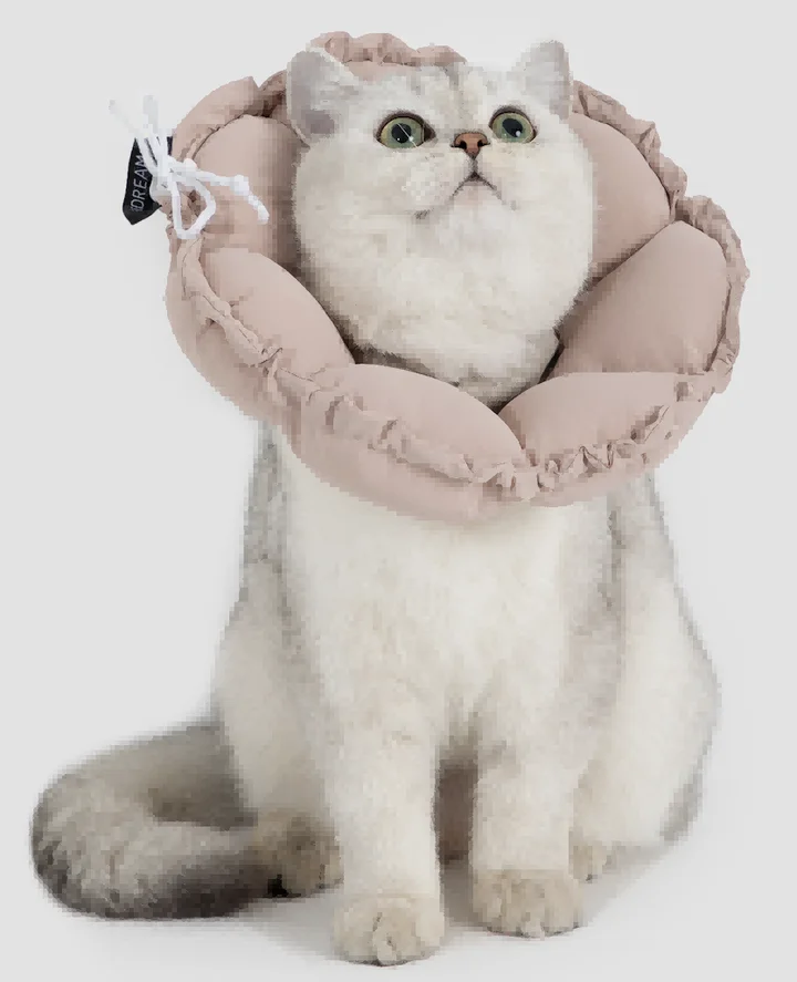 Flower Recovery Collar (Upgraded) view 6