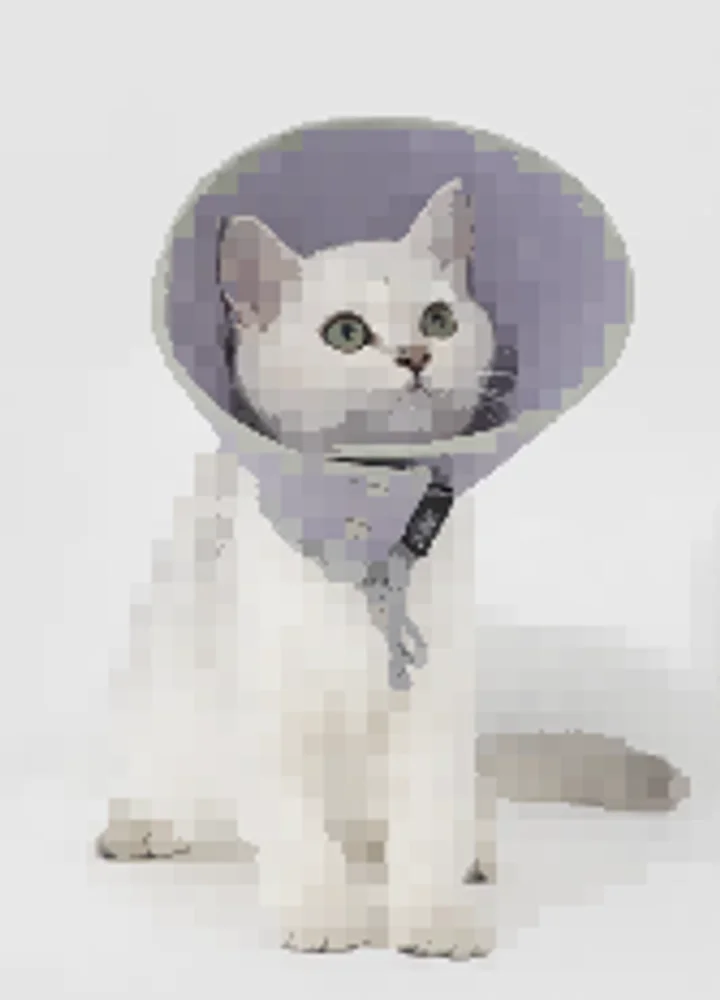 Snap-Button Cone Recovery Collar Head Cover view 4