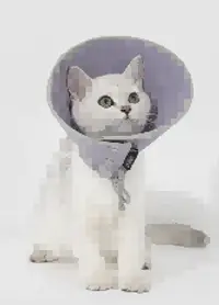 Snap-Button Cone Recovery Collar Head Cover view 4