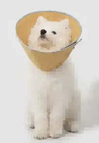 Snap-Button Cone Recovery Collar Head Cover view 2
