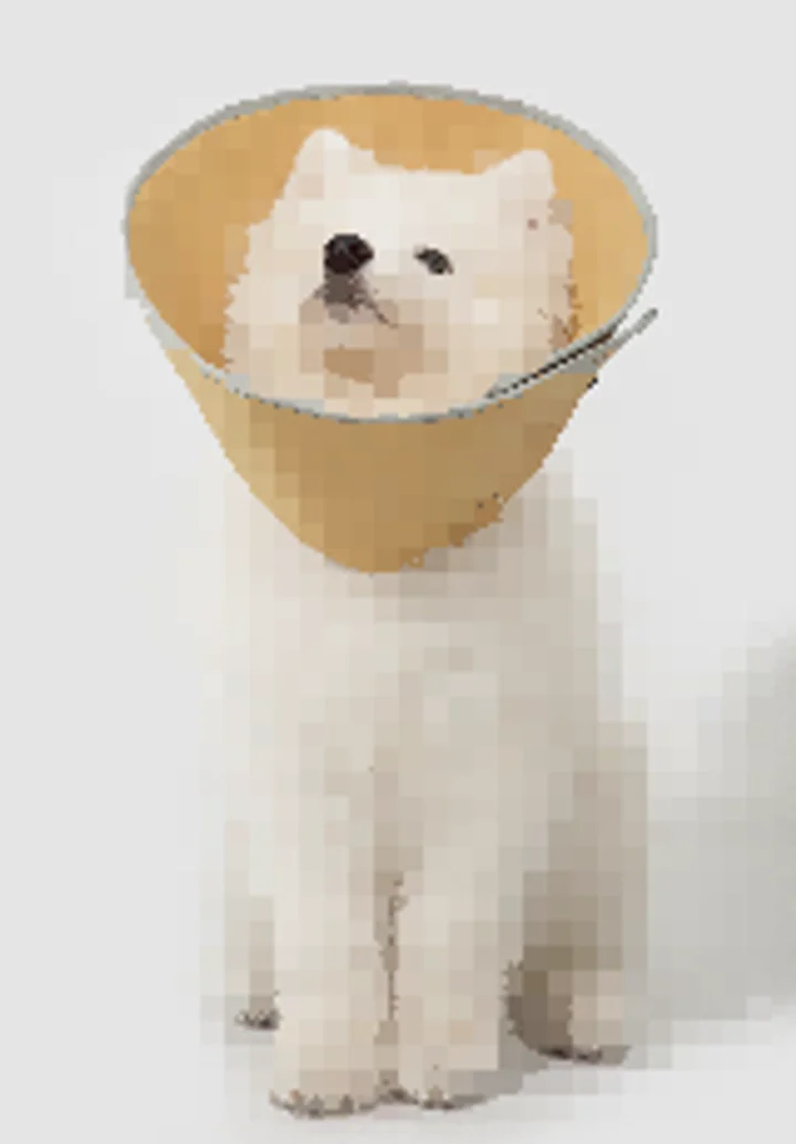 Snap-Button Cone Recovery Collar Head Cover view 2