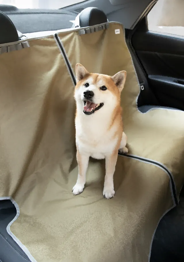 Multi-Function Pet Car Mat
