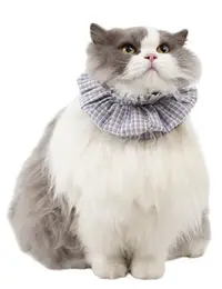 Pet Anti-Dirty Bib view 3