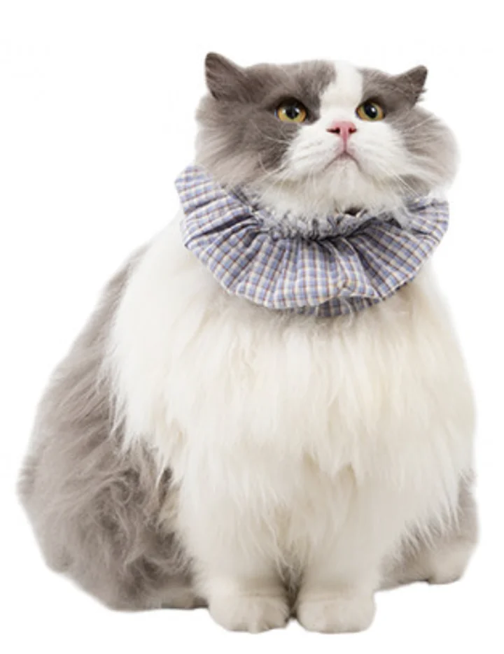 Pet Anti-Dirty Bib view 3