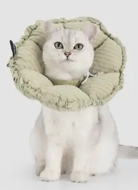 Check Flower Recovery Collar (Upgraded) view 4