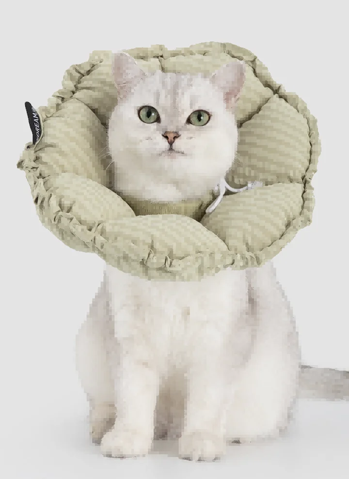 Check Flower Recovery Collar (Upgraded) view 4
