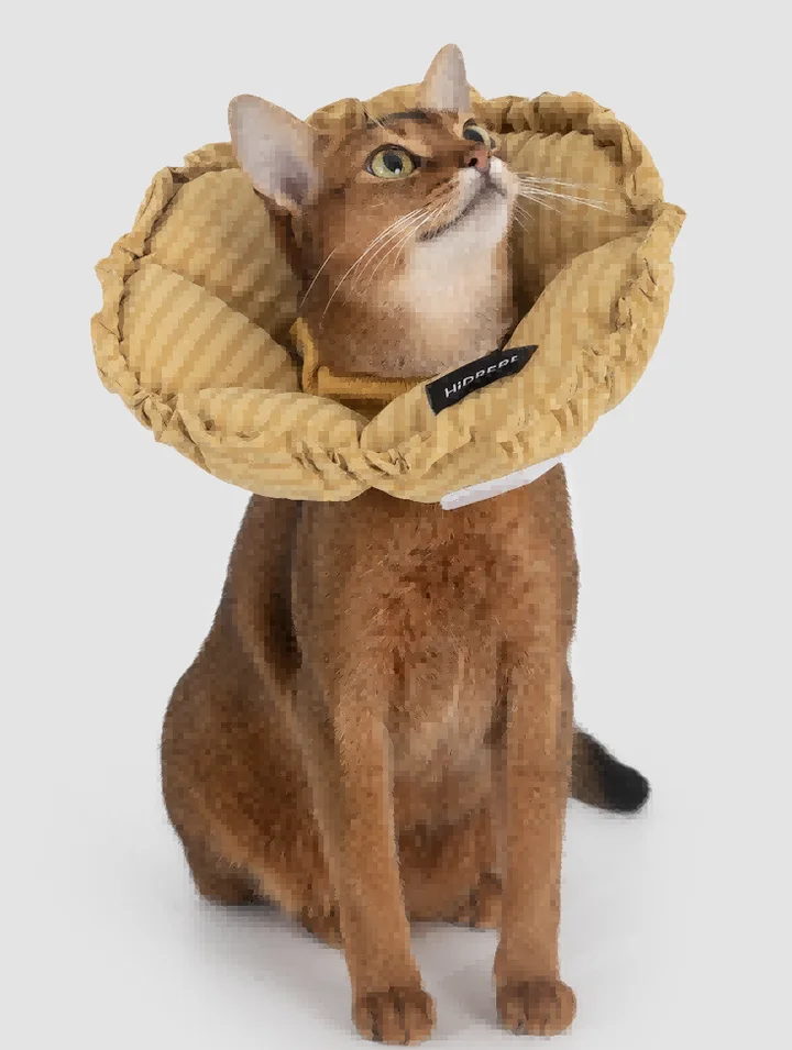 Check Flower Recovery Collar (Upgraded) view 6