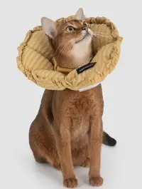 Check Flower Recovery Collar (Upgraded) view 6