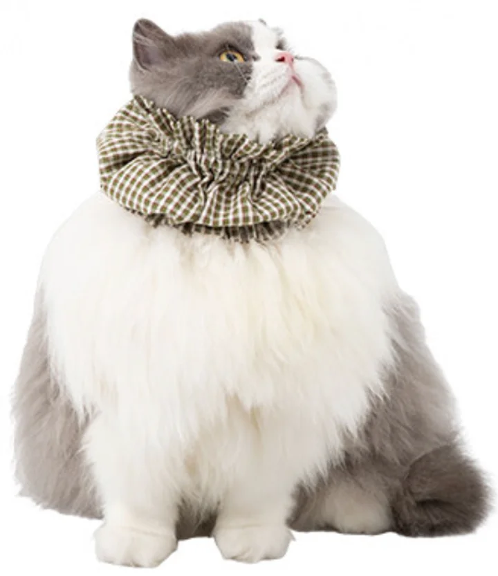 Pet Anti-Dirty Bib view 1