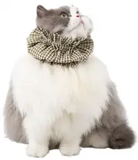 Pet Anti-Dirty Bib view 1