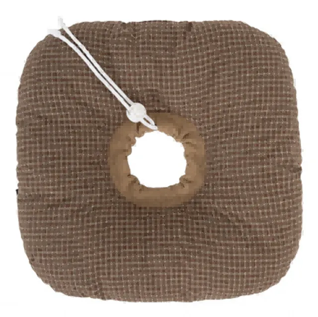 Toast Pet Recovery Collar