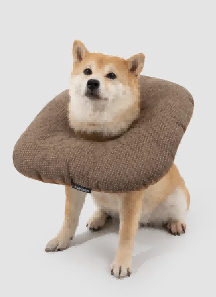 Toast Pet Recovery Collar view 2