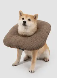 Toast Pet Recovery Collar view 2