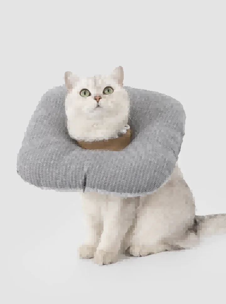 Toast Pet Recovery Collar view 4