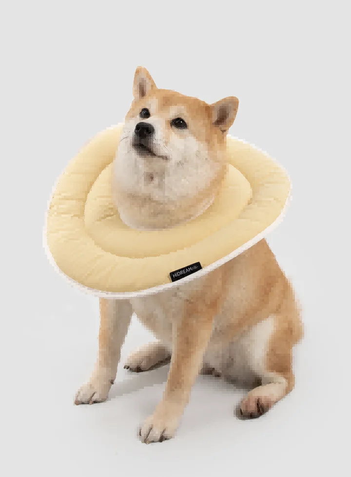 Donut Pet Recovery Collar view 4