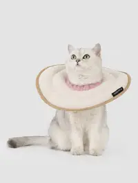 Donut Pet Recovery Collar view 2