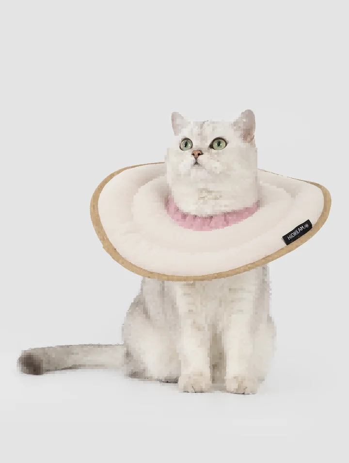 Donut Pet Recovery Collar view 2