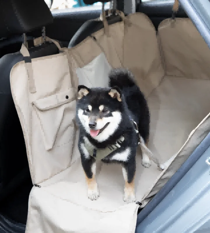 Rear Seat Full-Cover Car Pet Mat view 1