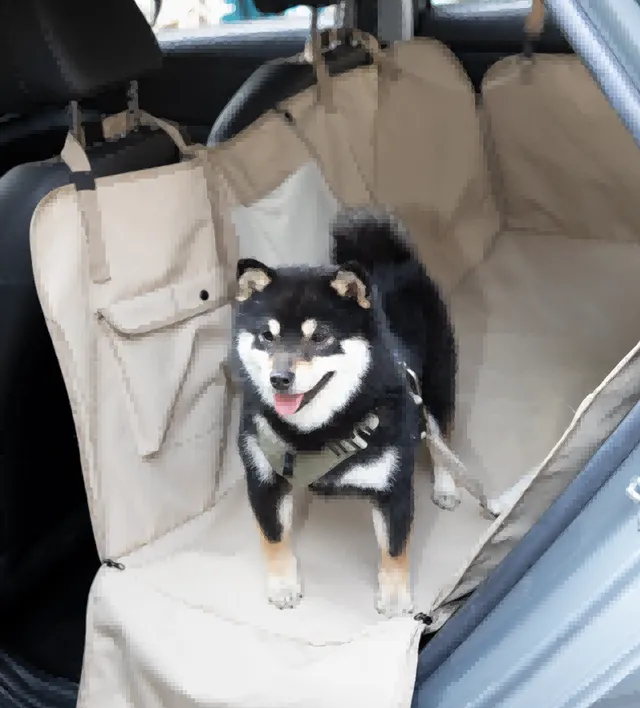 Rear Seat Full-Cover Car Pet Mat