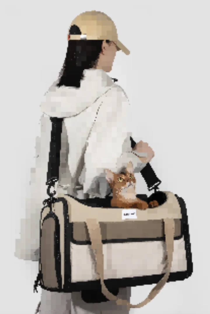 Pet Airline Tote Travel Bag (Tent Version) view 1